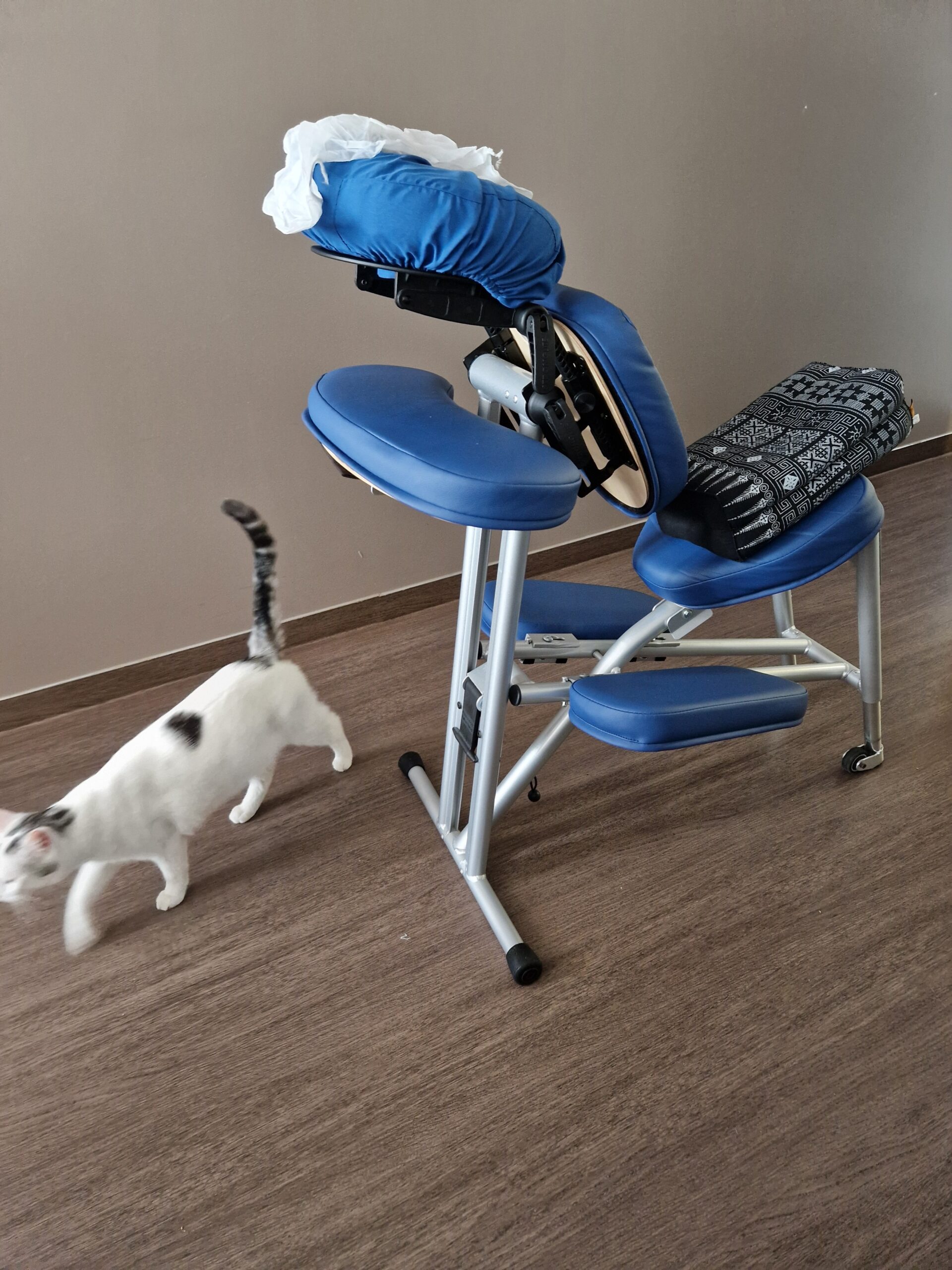 Chaise ergonomique Stronglite